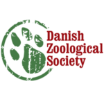 Red Sea Marine Turtles Research Project Turtlewatch Egypt