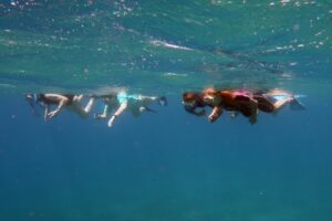 IMG_0928 - Copia