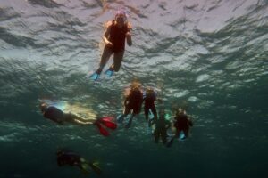 IMG_0938 - Copia