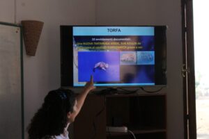IMG_4904 - Copia