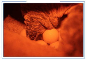 Schermata 2022-07-19 alle 09.20.25