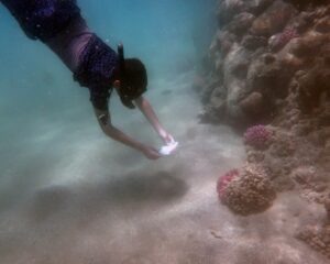 IMG_3695 - Copia