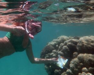 IMG_3698 - Copia
