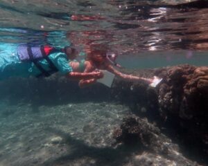 IMG_3706 - Copia
