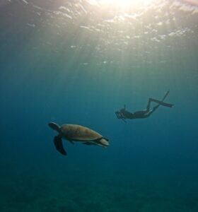DCIM101GOPROGOPR2277.JPG