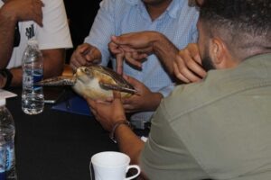 IMG_2537
