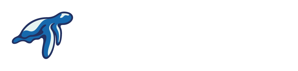 Turtle Watch Egypt Logo