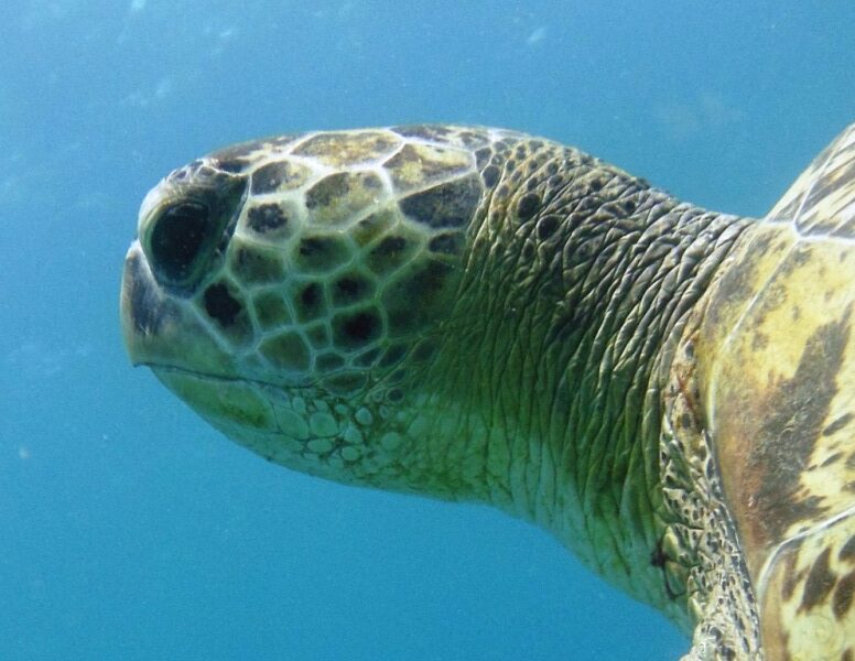 27-04-2017S4-L-ABDU-Copia-rotated