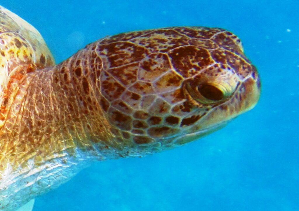 29072016s1-RPaoloMagnani-1024×724