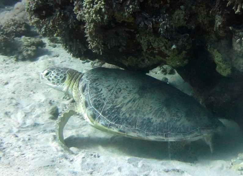 CARMEN_L_MM_2018_1_3_MADA_AM_5_PaoloMagnani-Copia