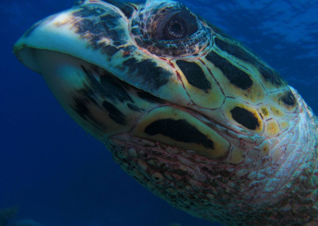 DABB2-EI_L_PRIV_2009_MADA_1_UN_MichaelaSladkova-1024×729