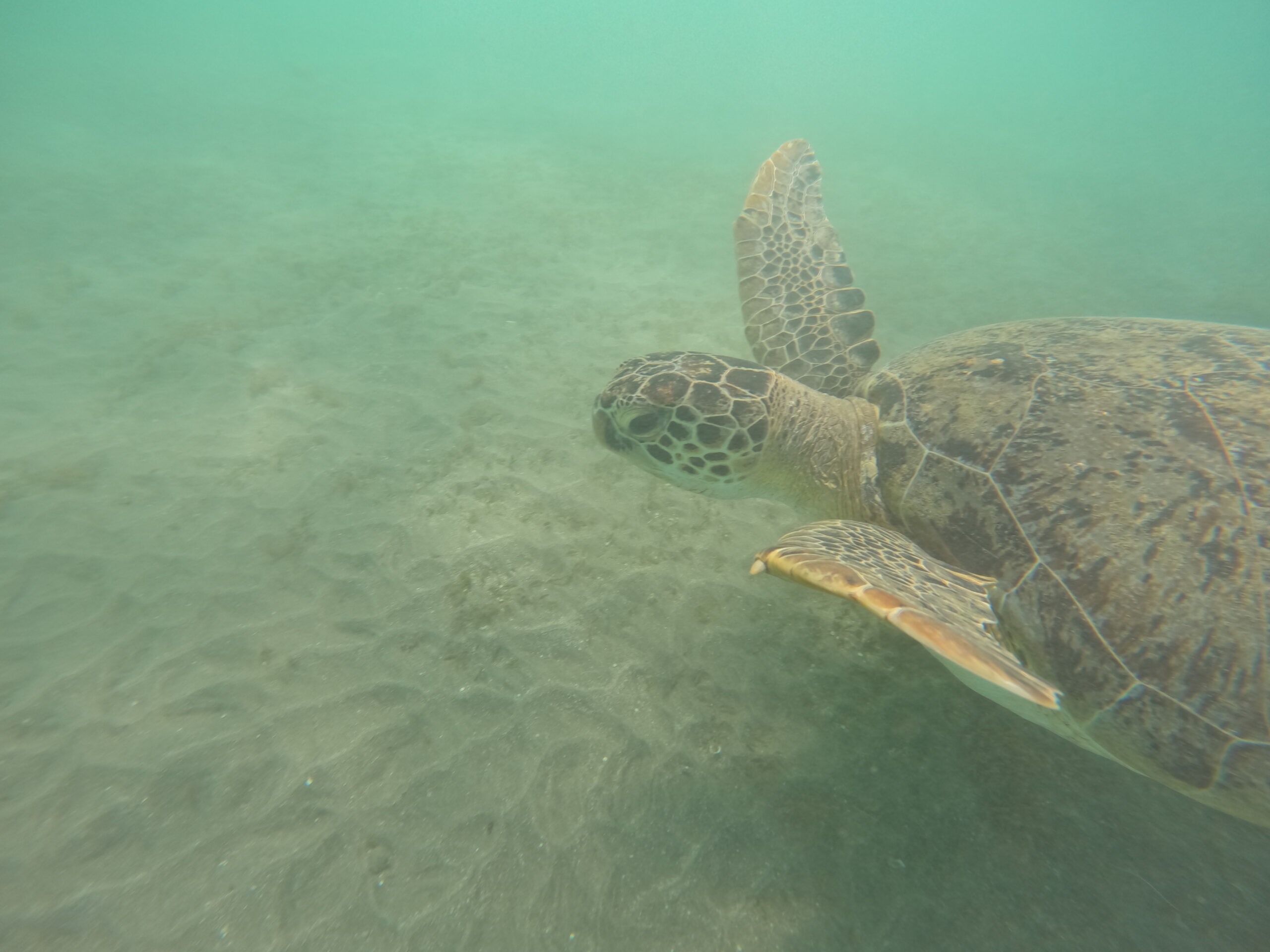GOPR1546-scaled