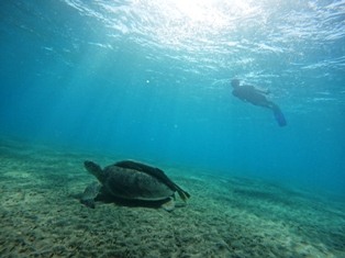 DCIM100GOPROGOPR7593.JPG