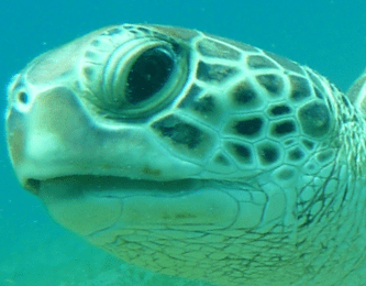 HOPE_L_RSPR_2017_05_MADA_NA_2_Ahmed-Fouad