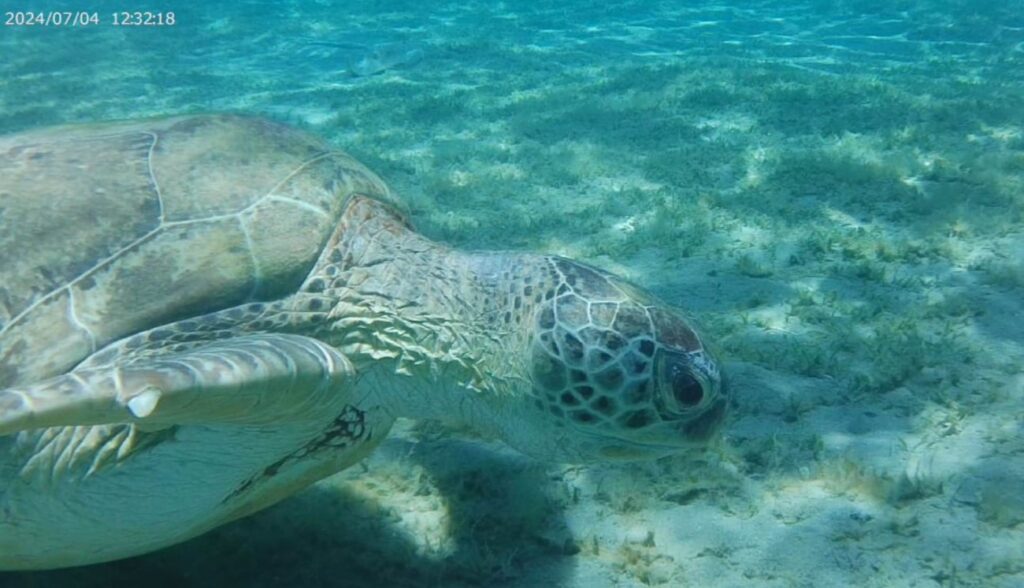 IMG-20240705-WA0004-1024×588