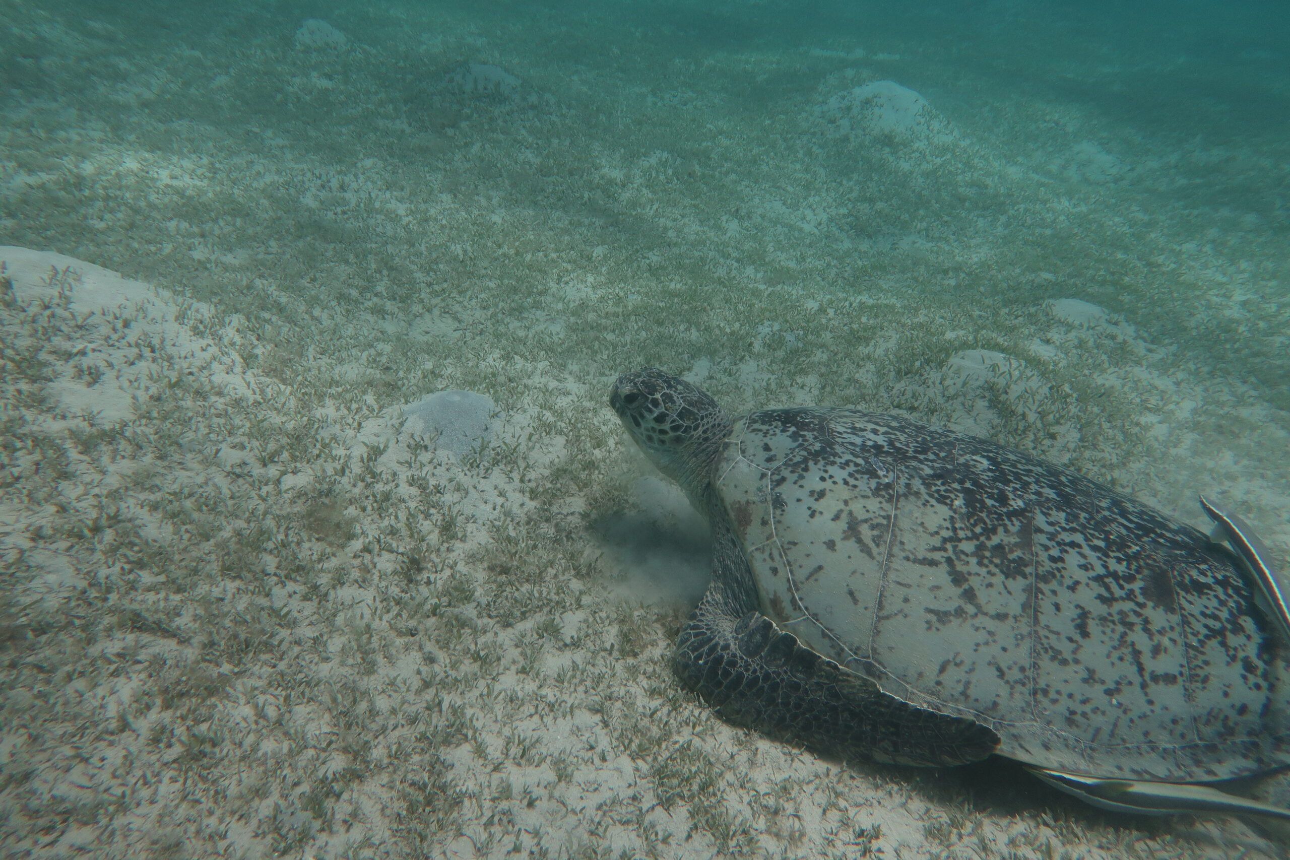 IMG_4179-scaled