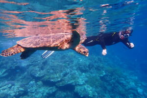 NICOLE-BAMMERT-300×200