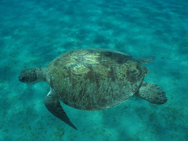 Nour_PRIV-09062012-MADA-CM-3_PPET-3-Copia