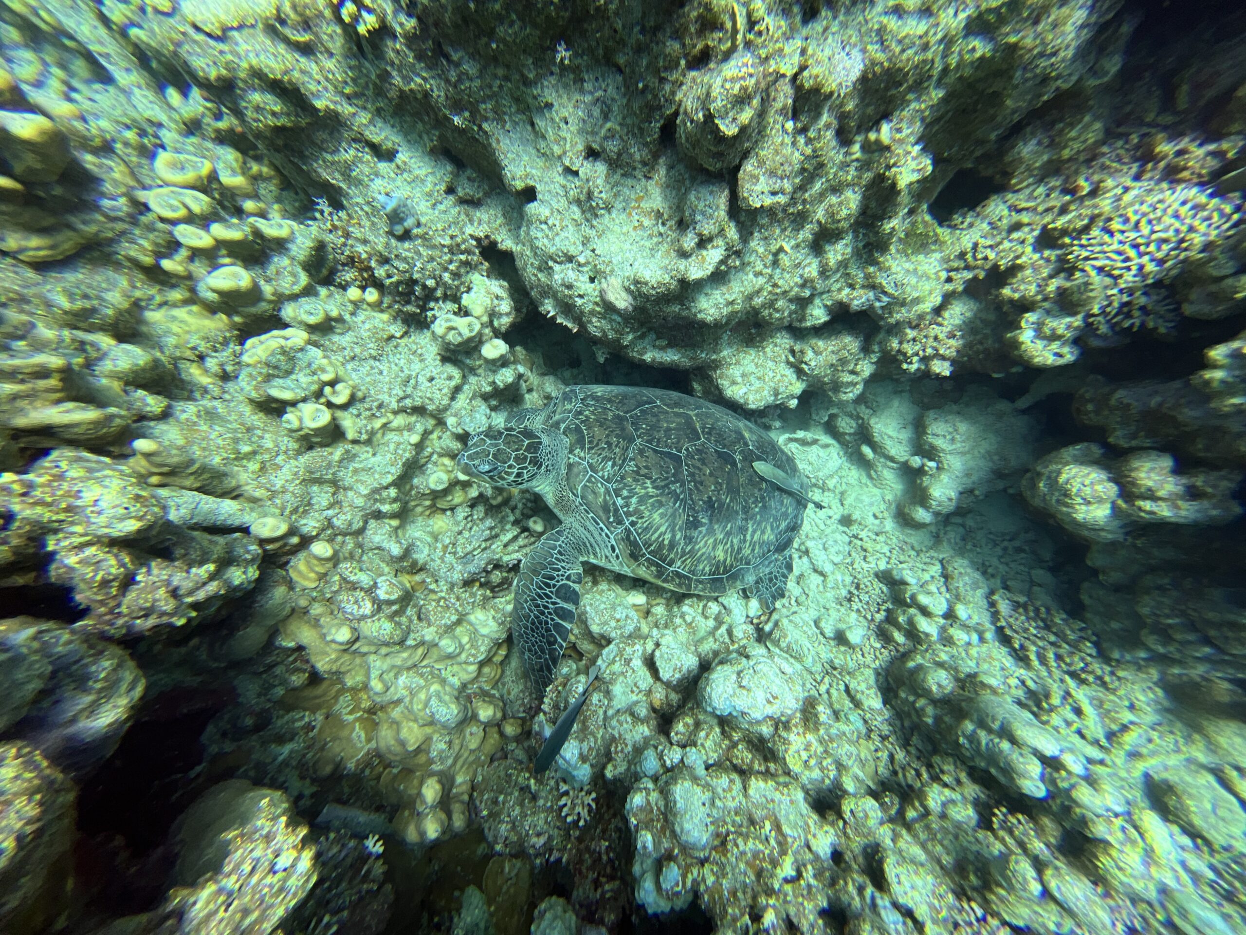 SportDiver_20240503_114341-scaled
