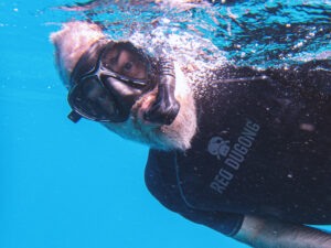 levinanni_TW-300×225