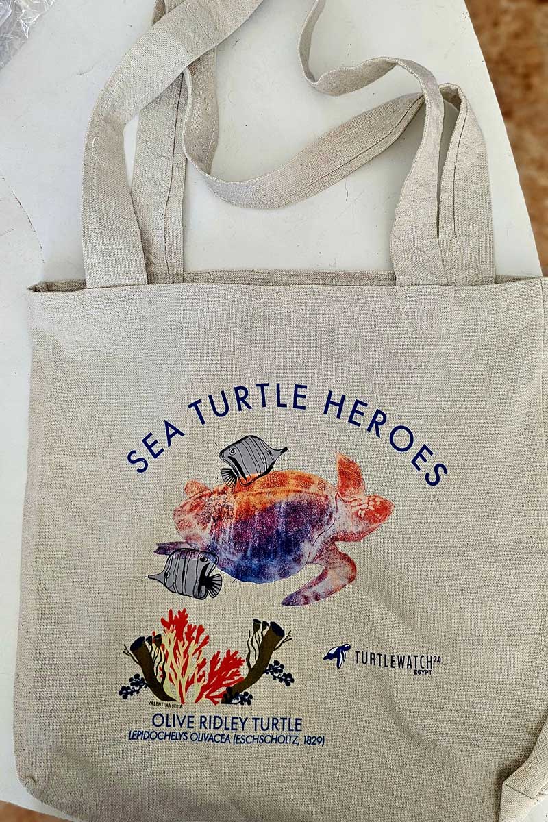 Totebag4